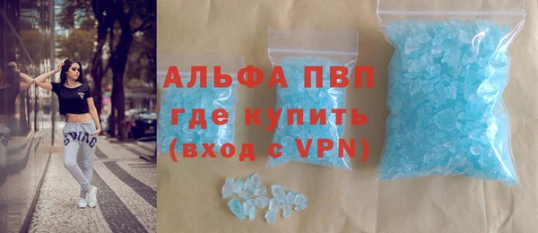 гашик Богданович