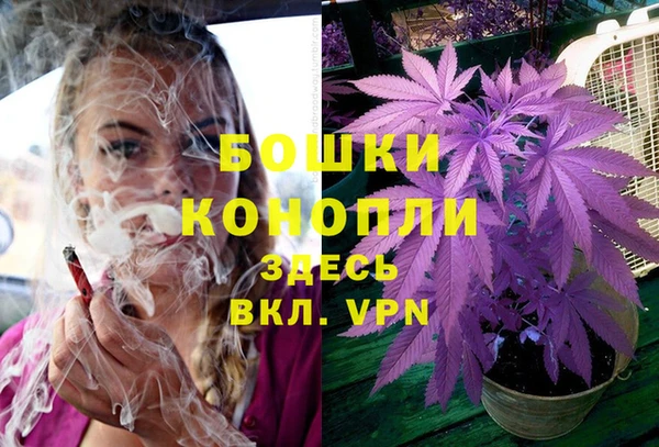 скорость Белокуриха