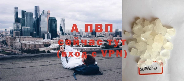 прущие грибы Богородск